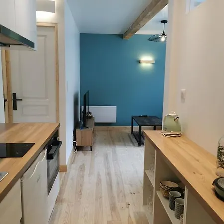 Les appartements du centre, refaits à neuf, climatisés, hyper centre, 50m à pieds des commerces, restaurants, parking gratuit Salies-de-Béarn Exterior foto