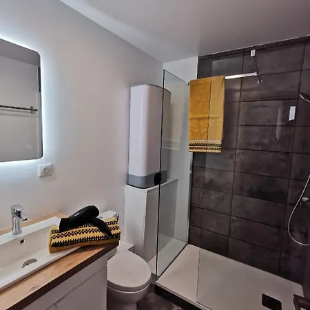 Les appartements du centre, refaits à neuf, climatisés, hyper centre, 50m à pieds des commerces, restaurants, parking gratuit Salies-de-Béarn Exterior foto
