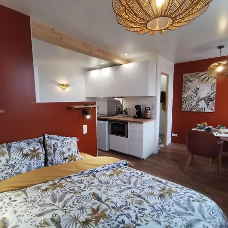 Les appartements du centre, refaits à neuf, climatisés, hyper centre, 50m à pieds des commerces, restaurants, parking gratuit Salies-de-Béarn Exterior foto
