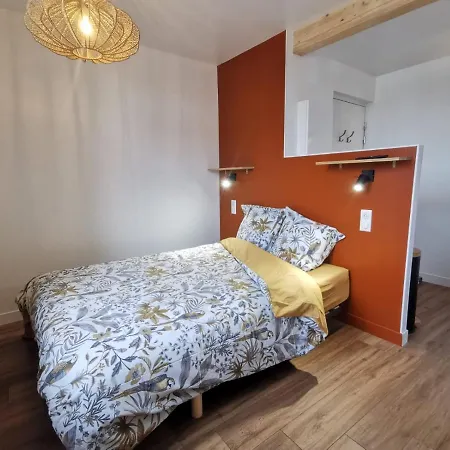 Les appartements du centre, refaits à neuf, climatisés, hyper centre, 50m à pieds des commerces, restaurants, parking gratuit Salies-de-Béarn Exterior foto
