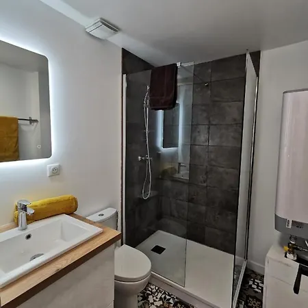 Les appartements du centre, refaits à neuf, climatisés, hyper centre, 50m à pieds des commerces, restaurants, parking gratuit Salies-de-Béarn Exterior foto