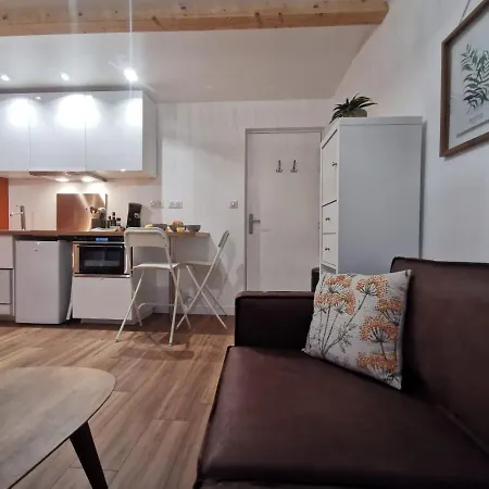 Les appartements du centre, refaits à neuf, climatisés, hyper centre, 50m à pieds des commerces, restaurants, parking gratuit Salies-de-Béarn Exterior foto