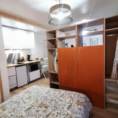 Les appartements du centre, refaits à neuf, climatisés, hyper centre, 50m à pieds des commerces, restaurants, parking gratuit Salies-de-Béarn Exterior foto