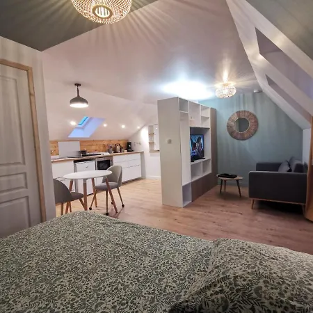 Les appartements du centre, refaits à neuf, climatisés, hyper centre, 50m à pieds des commerces, restaurants, parking gratuit Salies-de-Béarn Exterior foto