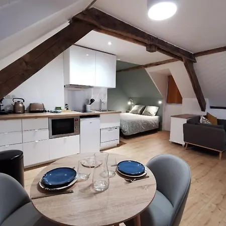 Les appartements du centre, refaits à neuf, climatisés, hyper centre, 50m à pieds des commerces, restaurants, parking gratuit Salies-de-Béarn Exterior foto