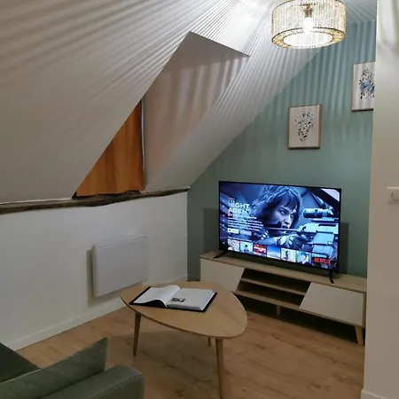 Les appartements du centre, refaits à neuf, climatisés, hyper centre, 50m à pieds des commerces, restaurants, parking gratuit Salies-de-Béarn Exterior foto