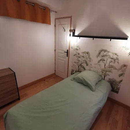 Les appartements du centre, refaits à neuf, climatisés, hyper centre, 50m à pieds des commerces, restaurants, parking gratuit Salies-de-Béarn Exterior foto