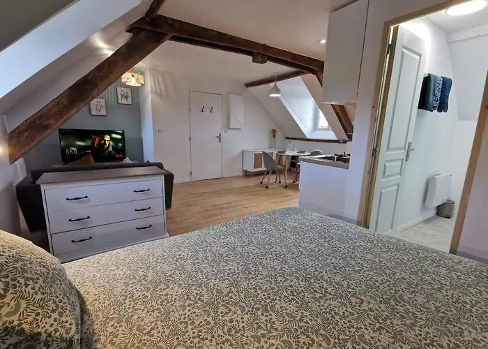 Les Appartements Du Centre, Refaits A Neuf, Climatises, Hyper Centre, 50M A Pieds Des Commerces, Restaurants, Parking Gratuit